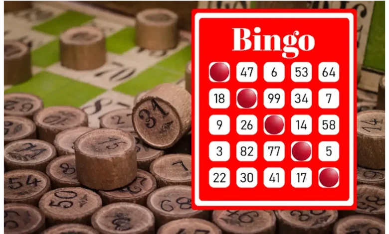 How to Play Bingo? Bingo Guides 1 how to play bingo