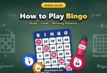 How to play bingo cover with a 75-ball bingo card marked on the diagonal, bingo balls, a dauber and chalk-drawn bingo patterns on a chalkboard